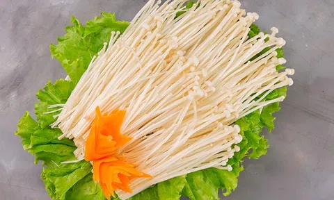 Tác dụng bất ngờ của nấm kim châm, nhưng một kiểu dùng nấm kim châm có thể gây độc