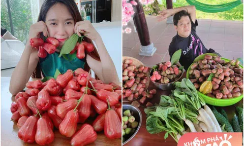 Mát tay trồng cây trong biệt thự: Lý Hải ăn không xuể, Trường Giang chuẩn con nhà nông