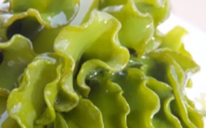 Tìm hiểu về cấu trúc phân tử của fucoidan