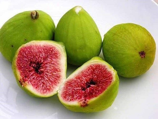 Loại quả tượng trưng cho sự sung túc, được ví là “tiên quả” nhưng 4 đối tượng cần tuyệt đối tránh Loại Quả Tượng Trưng Cho Sự Sung Túc, Được Ví Là “Tiên Quả” Nhưng 4 Đối Tượng Cần Tuyệt Đối Tránh