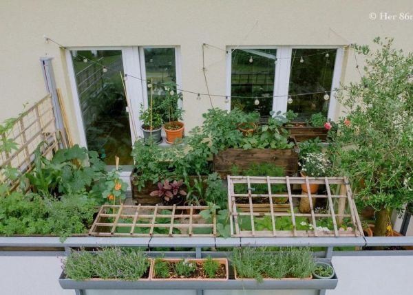 Trốn thành phố về nông thôn sống, mẹ đảm ở Đức biến ban công 8m2 thành vườn rau đầy màu sắc