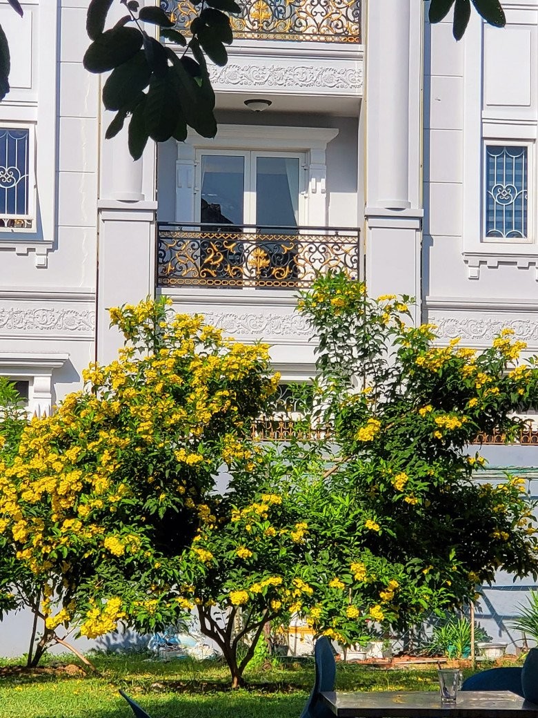 Đọ view phòng ngủ sao Việt: Lê Hoàng nhìn xuống khu vườn ngập hoa, phòng Cẩm Ly, Lã Thanh Huyền đẹp không kém