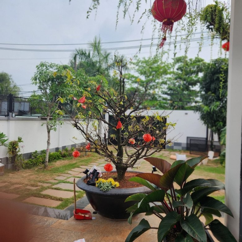 Sao Việt đón Tết ở nhà mới: Villa 1.200m2 của ca sĩ 5 con đẹp rực rỡ, Mạnh Trường làm tiệc lung linh ngoài trời