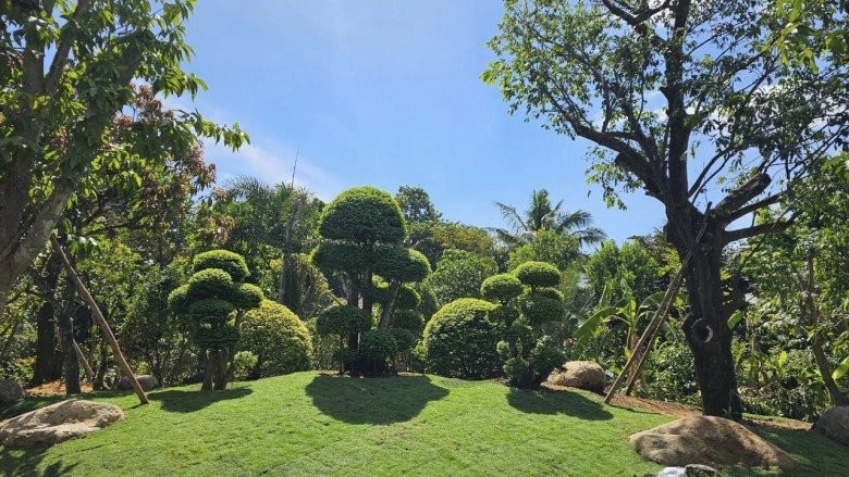 Việt Trinh để lộ cơ ngơi đẹp như resort ở Bình Dương, khu vườn tựa chốn bồng lai tiên cảnh