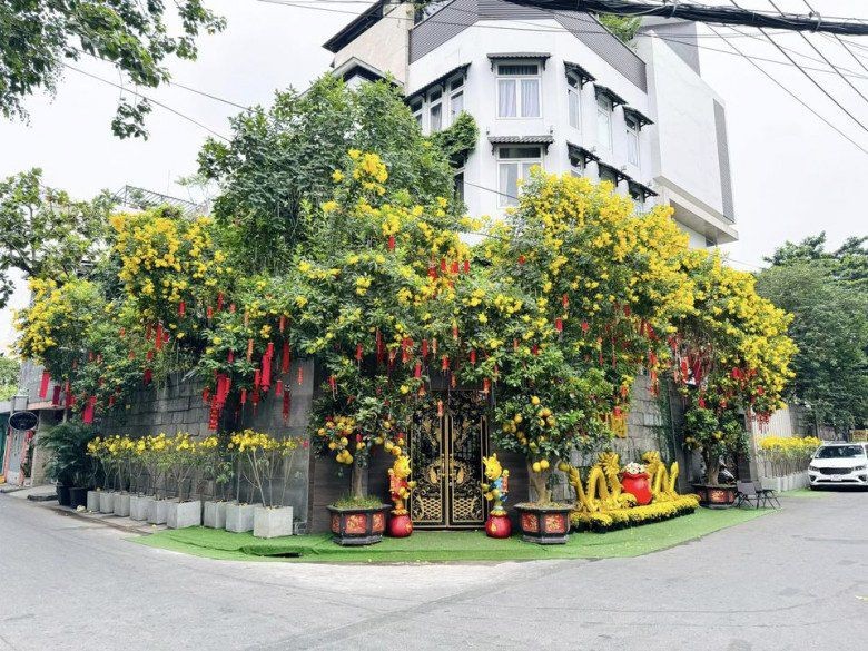 Cận cảnh những cơ ngơi tiền tỷ của Đàm Vĩnh Hưng: Nhà ở Sài Gòn, Nha Trang "chất" không kém ở Mỹ