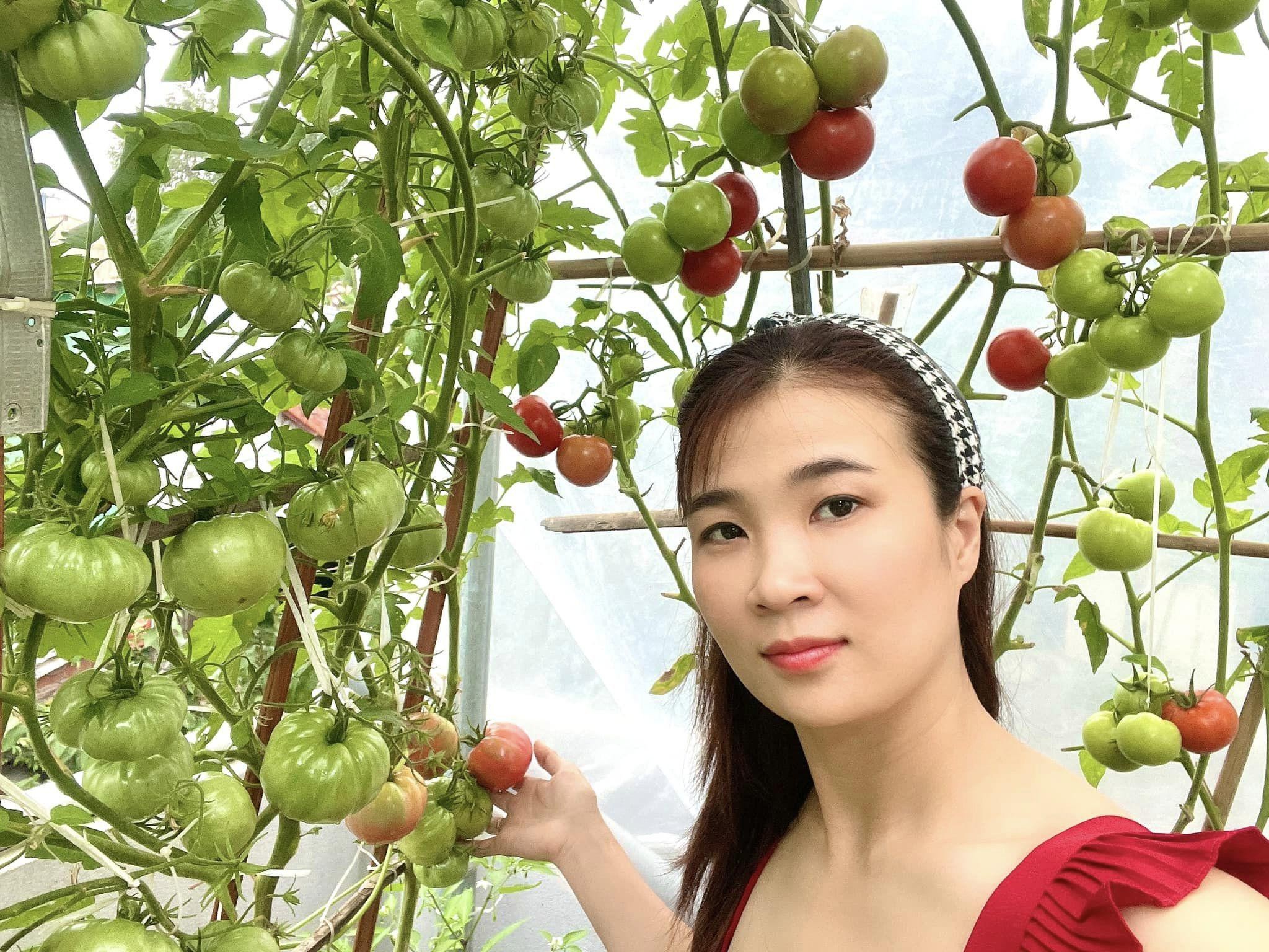 Mẹ đảm Đà Nẵng cải tạo sân thượng 20m2 để trồng rau sạch, chỉ tốn 5 triệu đồng