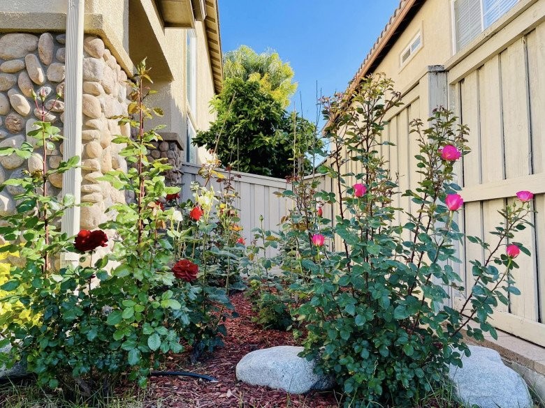 Cận cảnh ngôi nhà của Diệu Hương ở Mỹ: Có vườn hoa đẹp ngất ngây, trổ bông mơn mởn