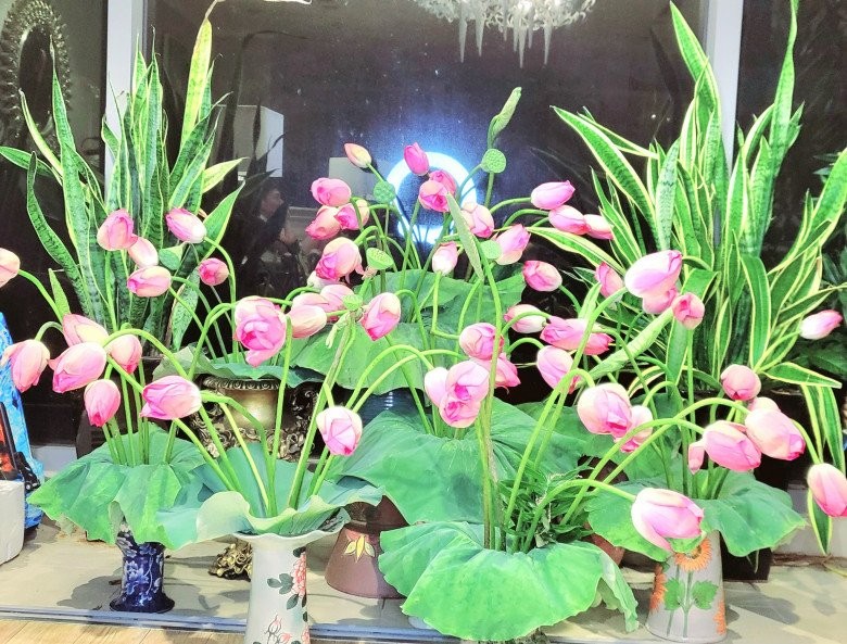 Vợ Mạnh Trường cắm hoa sen như một khu vườn trong nhà, Đan Lê thốt lên: "Đầu tư"