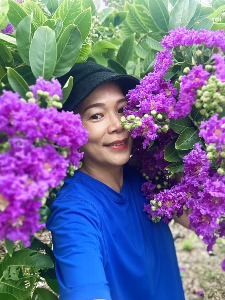 Khu vườn đầu hè của sao Việt: Mỹ Tâm - Mỹ Lệ khoái chí khoe táo xoài đầy vườn, hái vào đầy giỏ