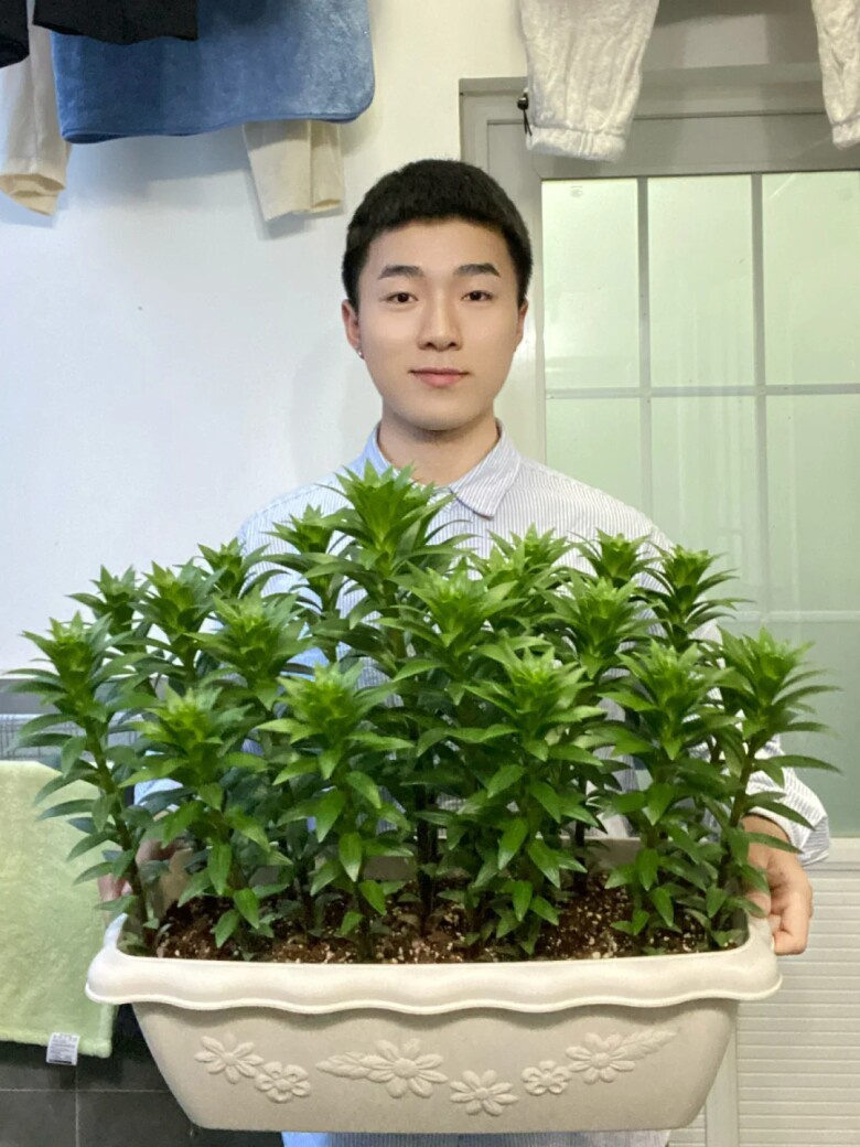 Nam sinh đại học biến ban công 3m2 trong ký túc xá thành khu vườn, hoa khoe sắc suốt 4 mùa khiến nhiều người trầm trồ