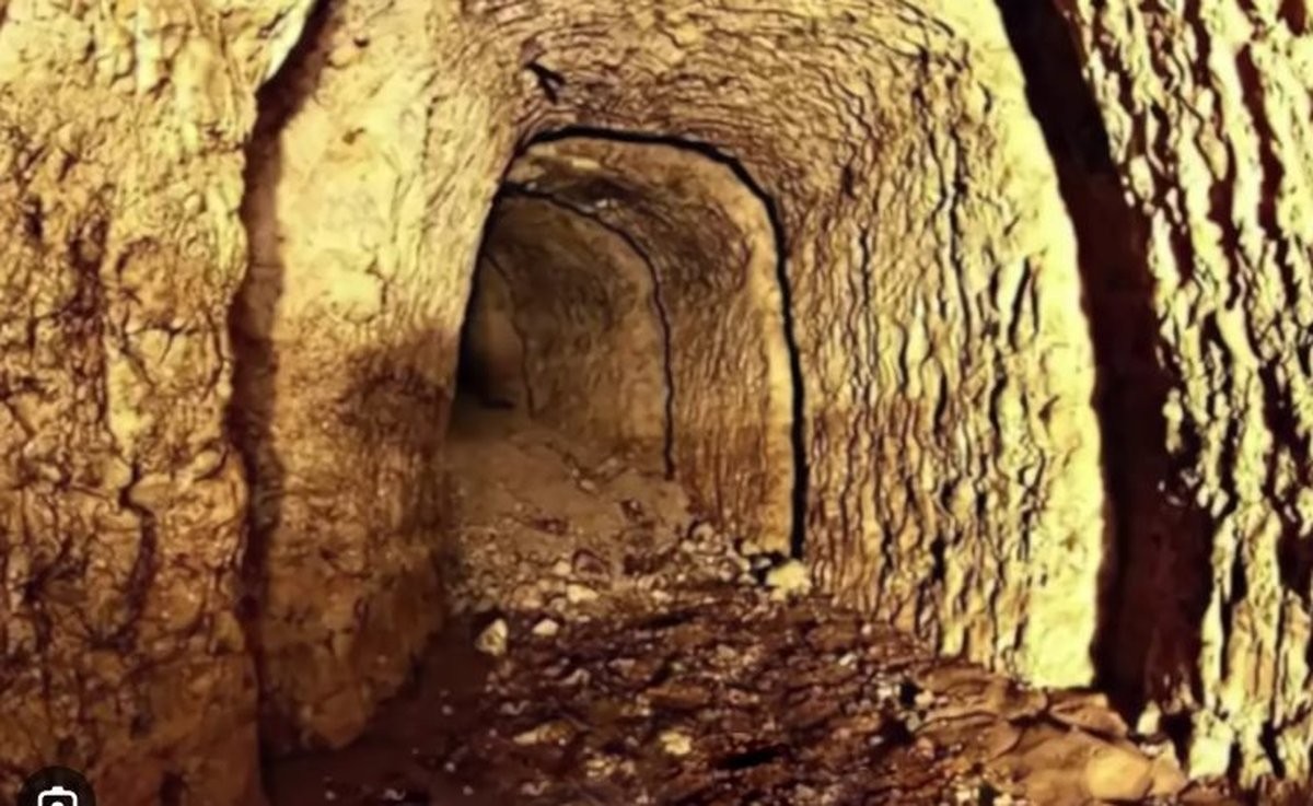 bau-vat-2-1780890238.jpg