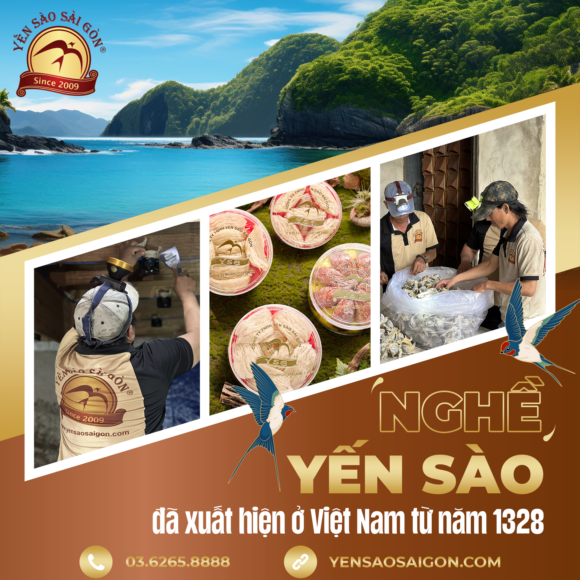 to-nghe-yen-192ox1920-29-07-2024-1723537312.png