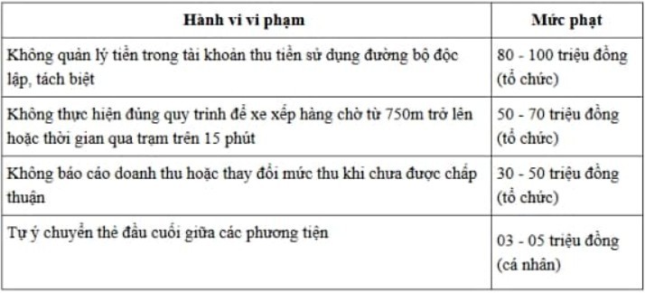 vi-pham-2-1773044903.jpg