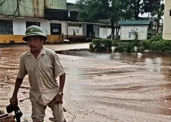 duong-11-177781492615161591421-1777877035.jpg