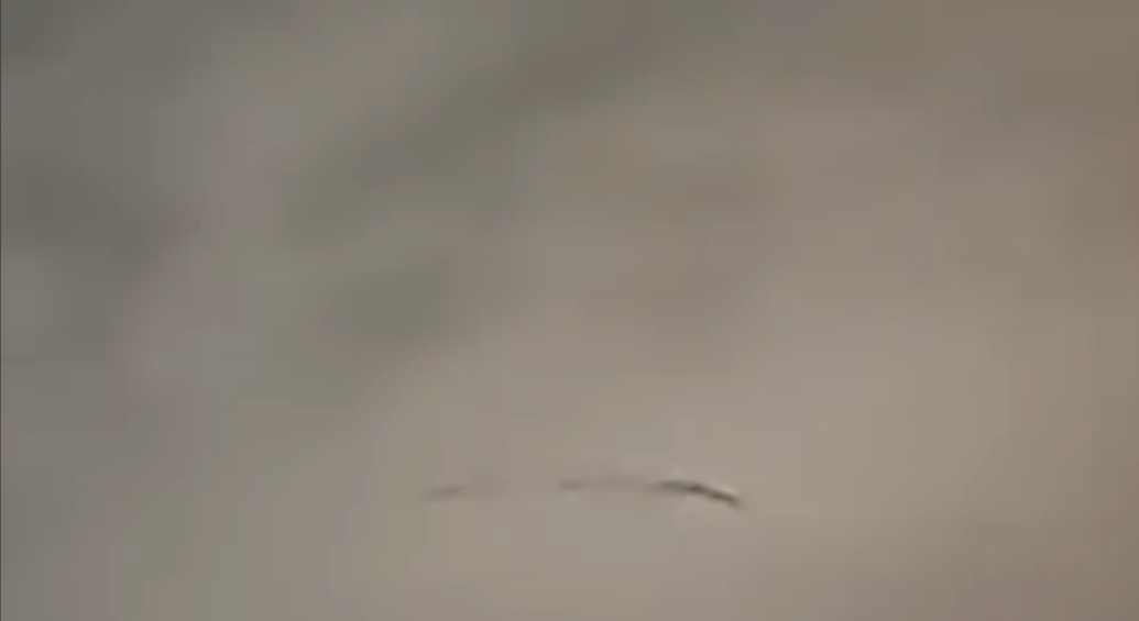 screenshot-1777886113-1777886123.png