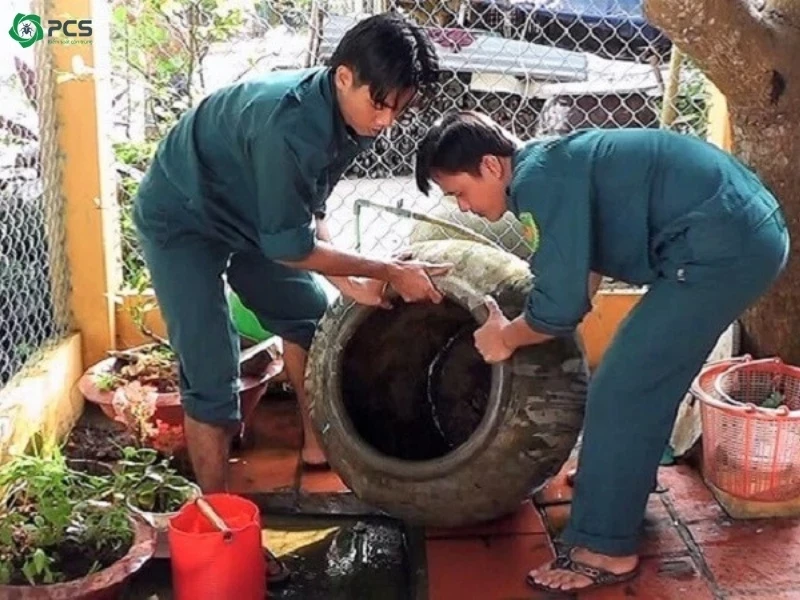 cach-diet-loang-quang-2-1781337829.webp