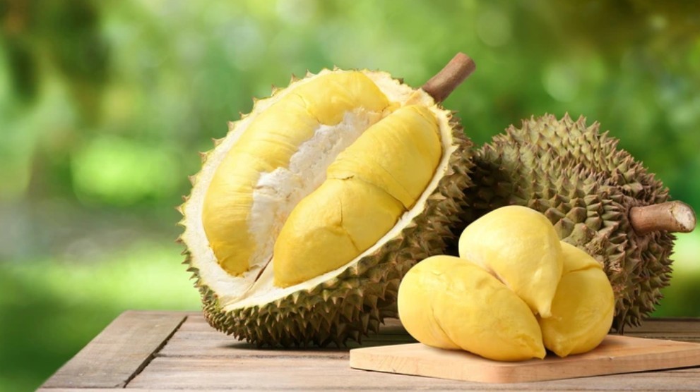 sau-rieng-2-1782183409.jpg