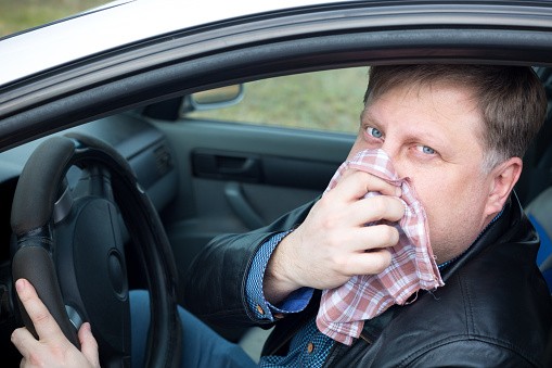 istockphoto-1317454720-170667a-1788599450.jpg