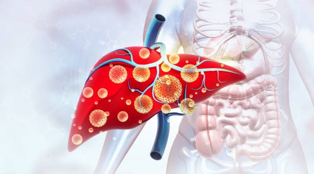 istockphoto-2177217350-612x612-1792178133.jpg