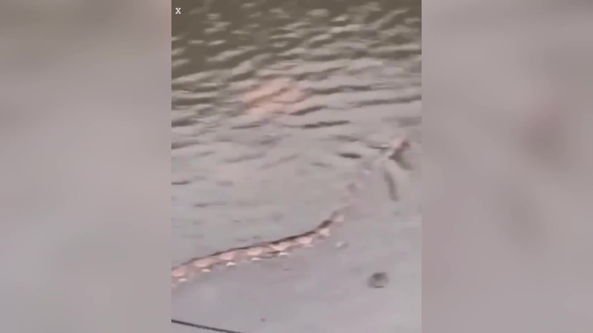 0bba26bfee93a20f6bfd8d727f68b7d7-1772174030.mp4