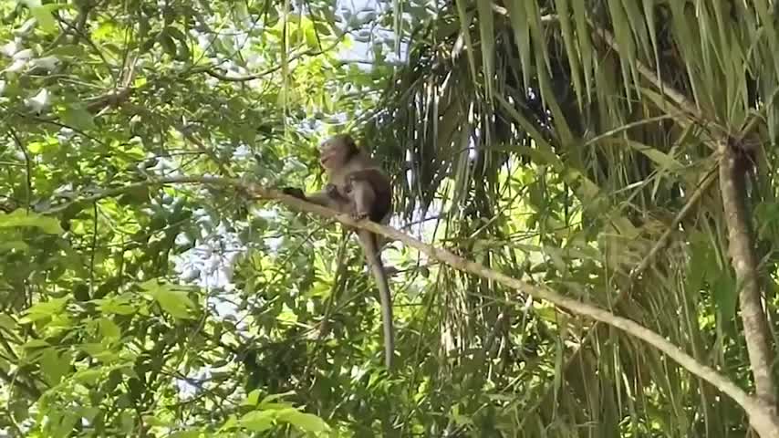 be-trai-7-tuoi-bi-khi-can-tu-vong-khi-dang-choi-ben-ngoai-nha-1781080734.mp4