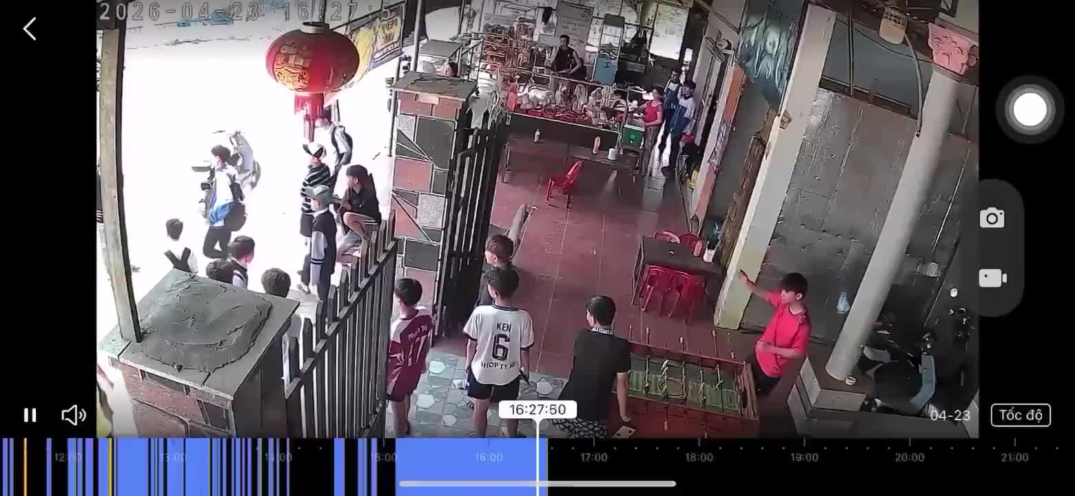 hoi-cay-8521-1777121385.mp4