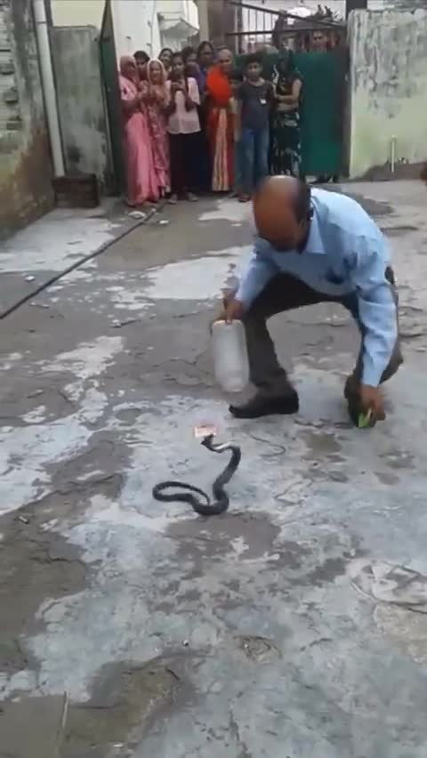man-catches-snake-in-plastic-jar-1713325652.mp4