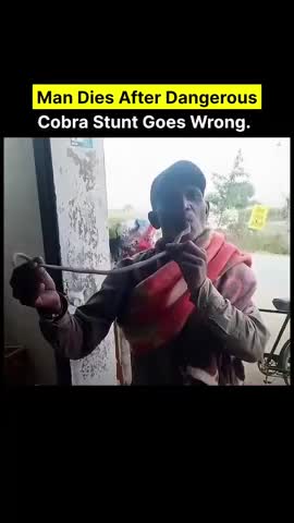 nguoi-dan-ong-ngam-dau-ran-ho-mang-trong-mieng-tu-vong-khi-bi-can-1775541328.mp4