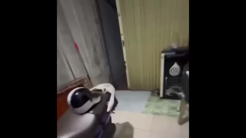 suc-khoe-hien-tai-cua-be-11-thang-trong-vu-3-me-con-bi-hang-xom-hanh-hung-o-lo-duc-1775219919.mp4