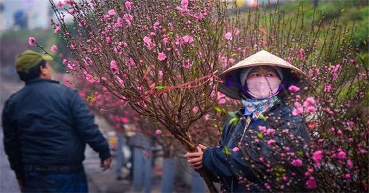 Dự báo thời tiết Tết Nguyên đán Ất Tỵ 2025 cả 3 miền mới nhất Bắc Bộ