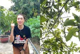 Mỹ Tâm khoe trái chi chít trong "biệt phủ" ở Củ Chi, tâm sự với từng cái cây: "Cố lên nha con!"