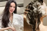 Tóc mỏng thưa, gãy rụng nhiều nên mua loại dầu gội nào? 5 bí quyết giúp tóc mọc nhanh lại chắc khỏe