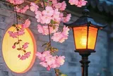 Người có phúc thường "thiếu" 3 thứ này: Càng ít tính toán, cuộc đời càng nở hoa