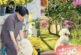 "Anh trai" U50 của showbiz Việt có cơ ngơi đẹp như mơ, cảnh cún cưng chạy quanh vườn đầy hoa làm nhiều người mê tít