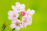 Một người có trân trọng bạn hay không, chỉ cần nhìn chi tiết này là đủ