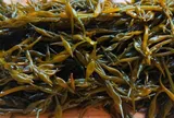 Canxi trong rau này gấp 10 lần sữa, người Nhật gọi là “món trường thọ”, thật may nước ta cũng bán nhiều!