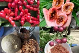Đố vui 10 loại trái cây đặc sản Việt Nam hiếm người biết, tên "lạ hoắc", có loại 400 nghìn đồng/kg