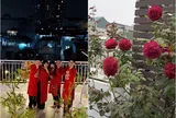 Khu vườn hoa hồng tuyệt đẹp trong cơ ngơi 6 tầng của MC "Chúng tôi là chiến sĩ", công lớn thuộc về ông xã