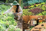 Chỉ với hơn 1 triệu đồng, mẹ đảm Đồng Nai biến 50m² đất trống thành khu vườn xanh mướt, đẹp như tranh