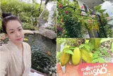 Hoa trái từng chùm và quang cảnh tuyệt đẹp trong khu vườn ở biệt thự 20 tỷ của nữ Chủ tịch Nhật Kim Anh