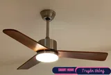 Tại sao ngày càng nhiều người “quay lưng” với quạt trần? 3 thiết bị thay thế này đang được ưa chuộng hơn