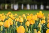 4 điều tưởng "ngược" mà những người sở hữu nội tâm thực sự giàu có và an yên đều có