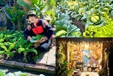 Chỉ tốn vài chục nghìn đồng, chàng hotboy dân tộc biến 576m² đất trống thành khu vườn sum suê, rau củ ăn hoài không hết
