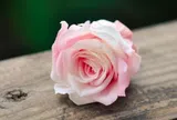 Khi ai đó chủ động tìm bạn vào 3 thời điểm này, họ thực sự trân trọng bạn
