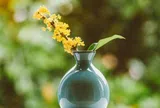 Quan hệ thân đến mấy cũng chớ làm 2 điều với người nhà: Không phải vô tâm mà là rất khôn ngoan!