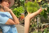"Biệt phủ" hàng nghìn m2 của Mỹ Tâm có loại trái ngọt mát sai lúc lỉu, khán giả gọi cô là "bà trùm nông sản"
