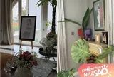 Hoa hậu đình đám Việt Nam "đưa màu xanh vào nhà", mỗi góc nhỏ trong biệt thự rộng 1.0002 đều rất an yên