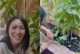 Khu vườn xinh yêu ở ngôi nhà mới của ca sĩ Phương Thanh, Lam Trường đến thăm liền thốt lên một câu