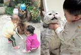 Cười ra nước mắt với 1001 kiếp nạn của "khối trông nhà" khi chăm "khối nghỉ hè"