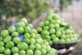 Loại quả "tốt nhất thế giới" có ở Hà Nội, trồng một lần thu hoạch nhiều năm, thành đặc sản tốt cho sức khoẻ